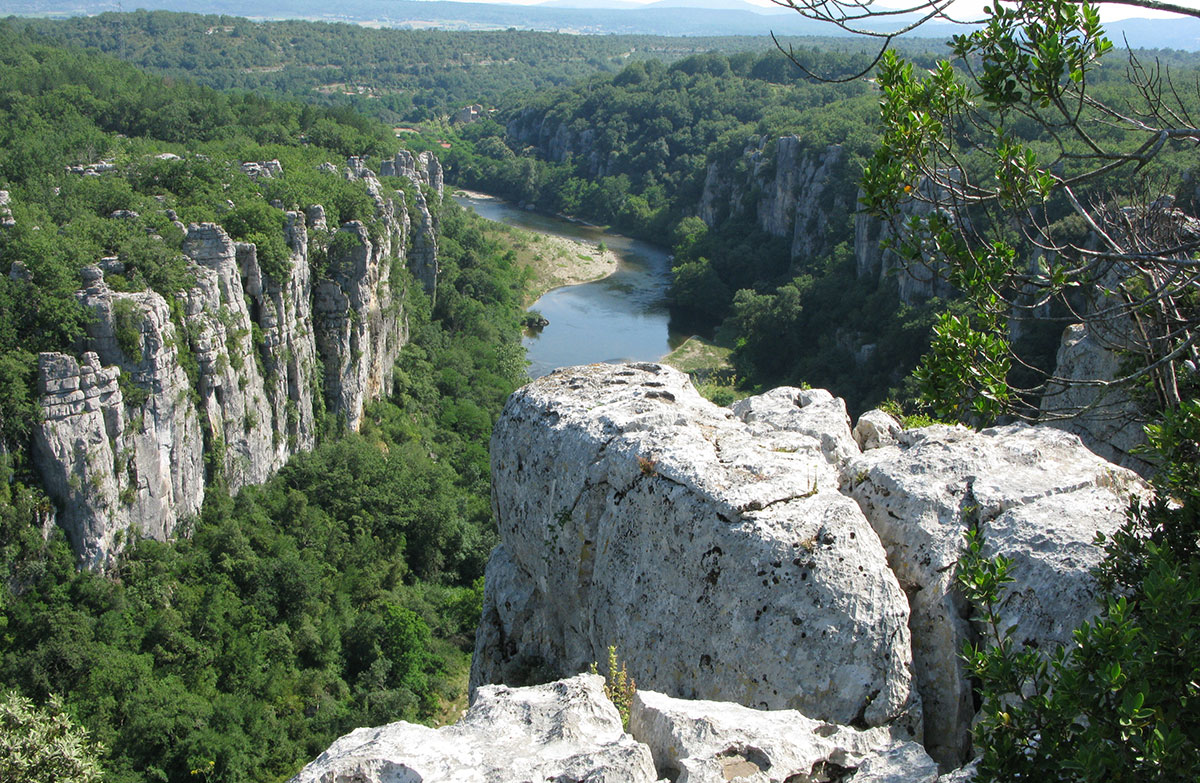 Chaulon