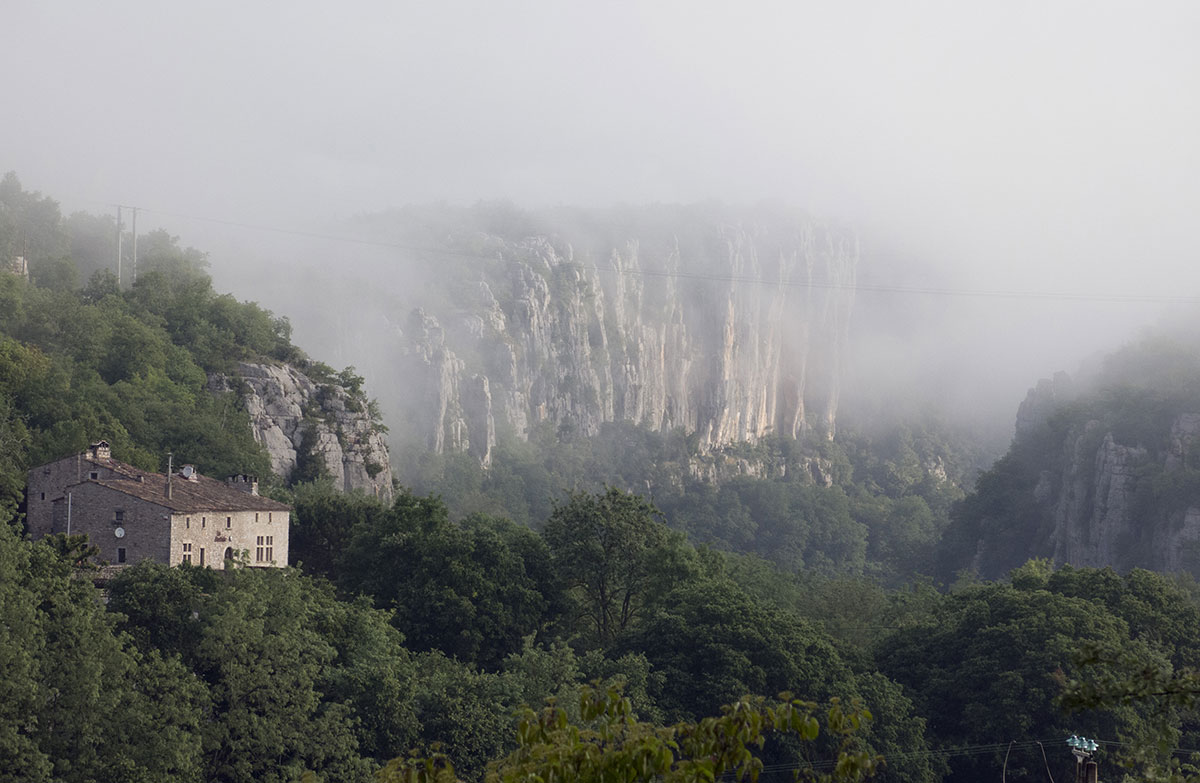 Nebel