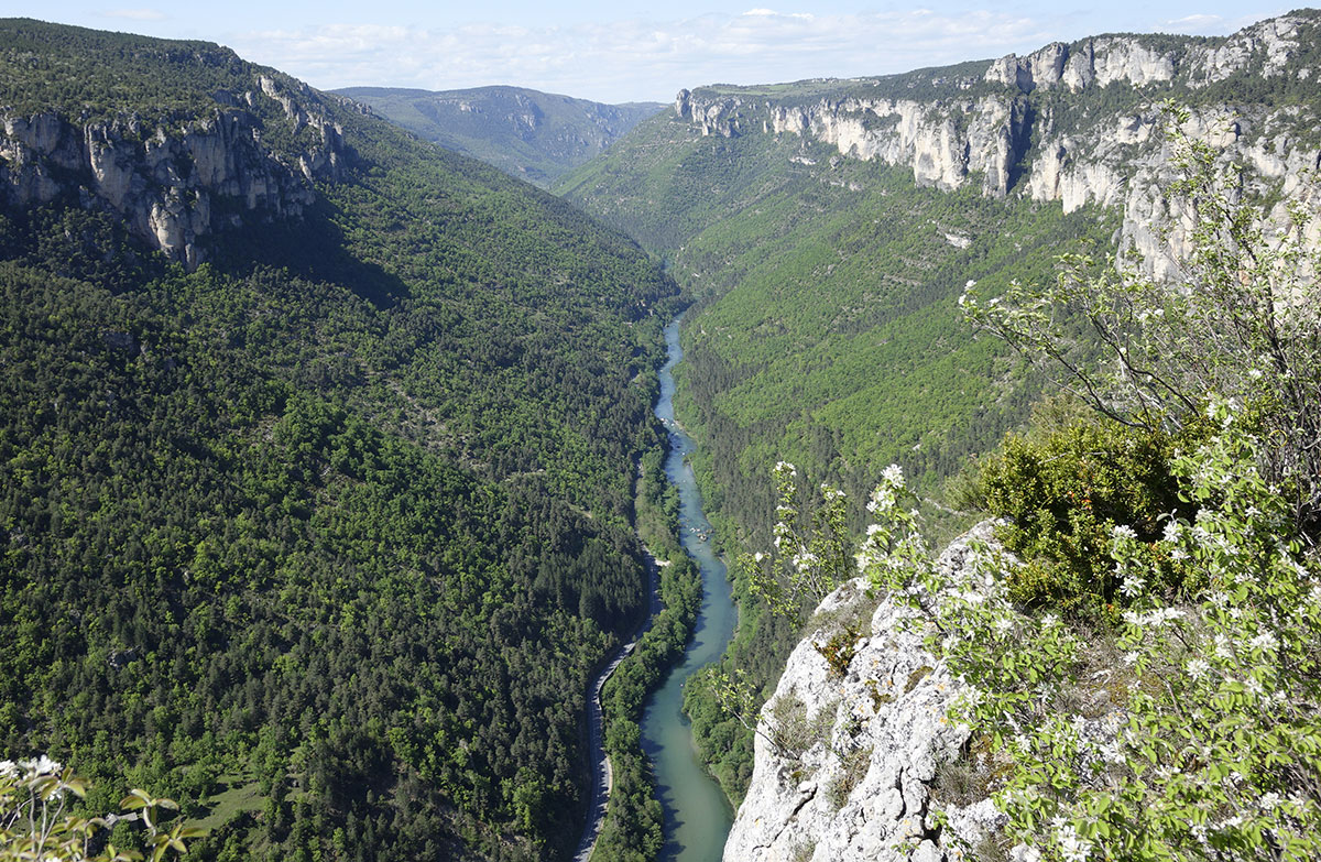 Blick über den Tarn