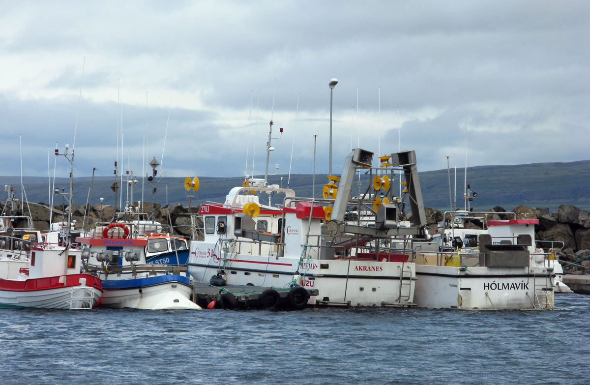 Holmavik