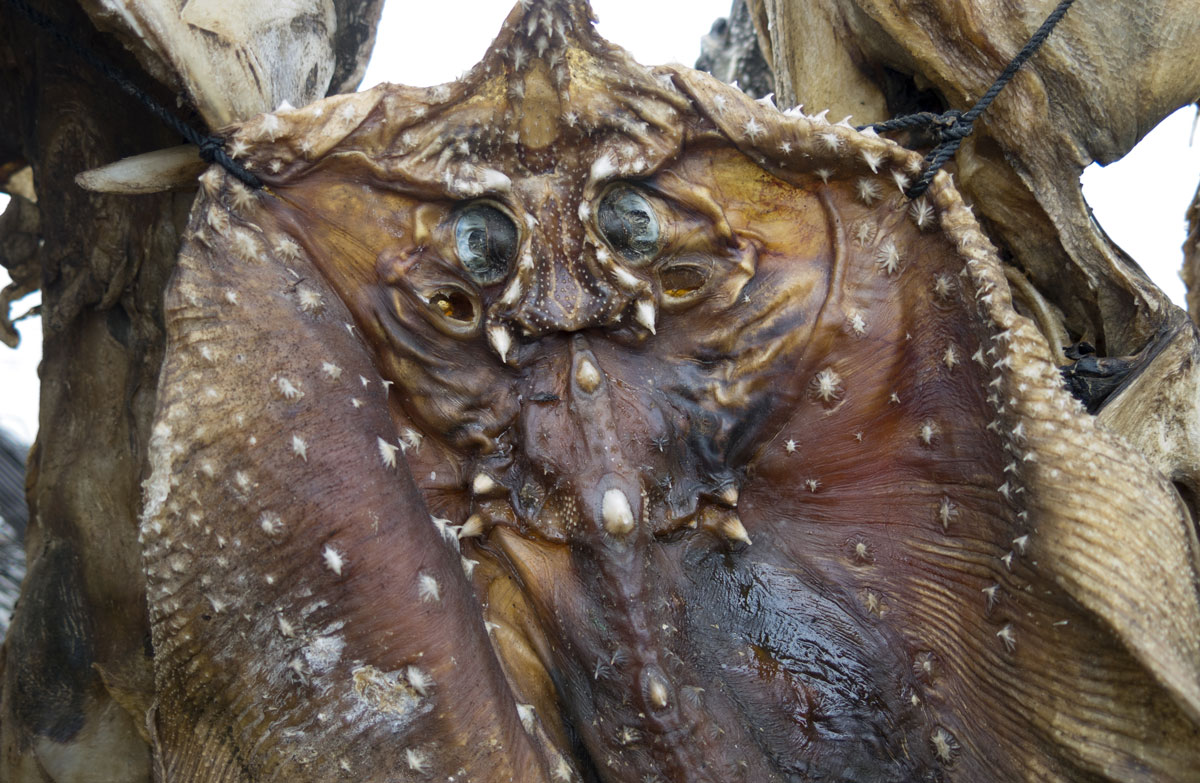 Trockenfisch