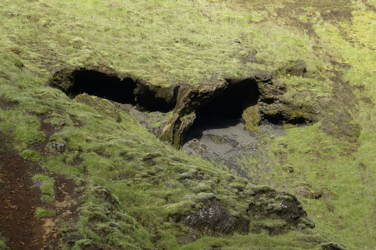 Augen