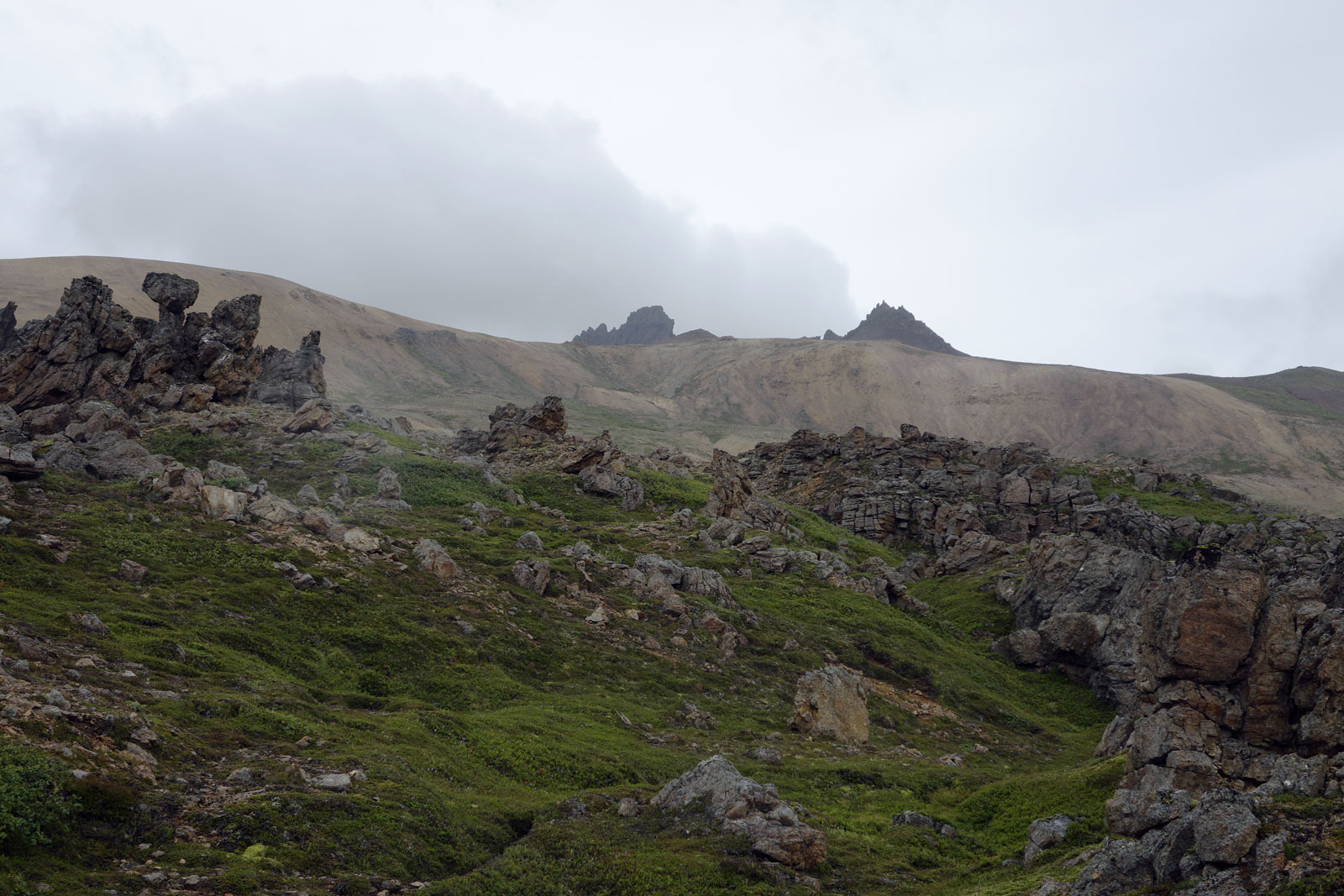 Landschaft