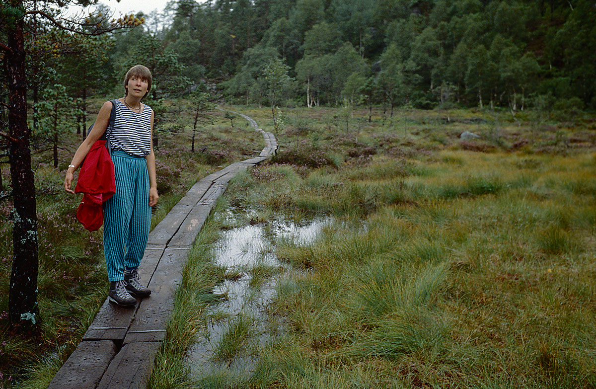 Der zweite Anfang: 1988