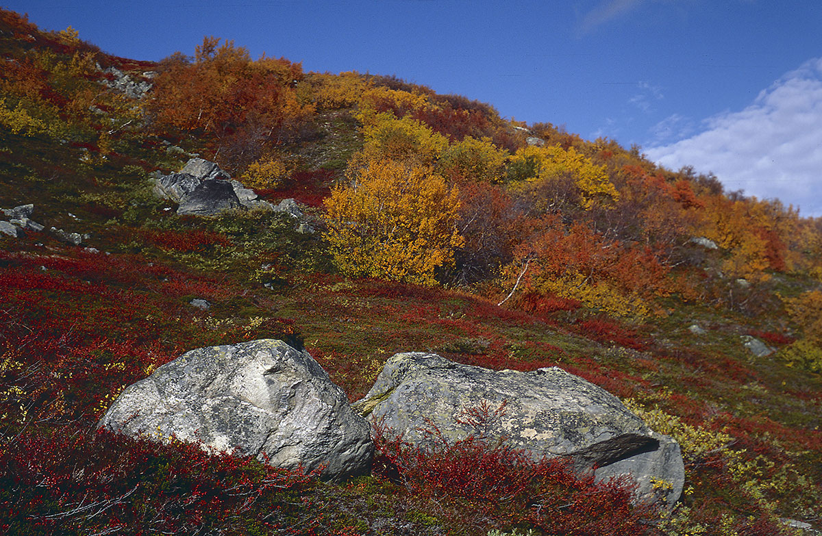 Herbstfarben