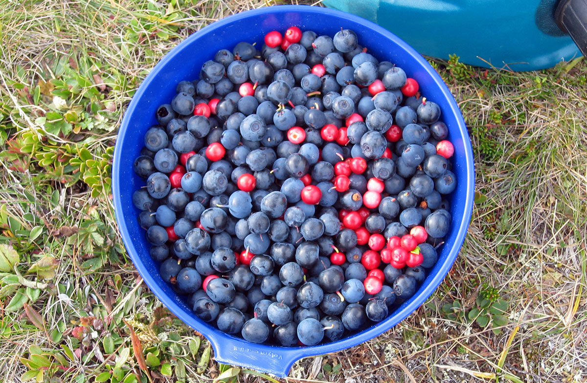 Vitamine