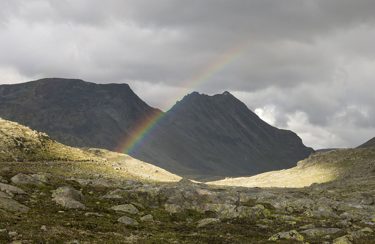 Regenbogen