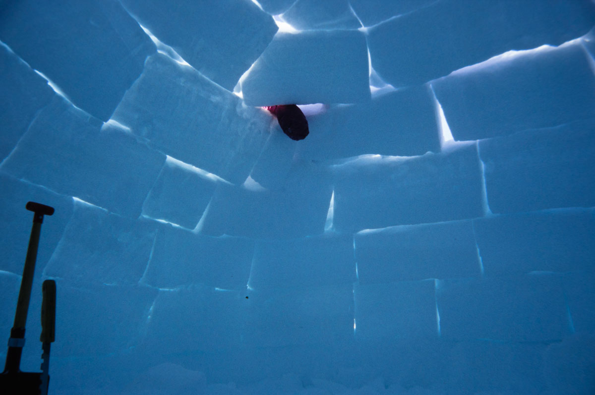 Iglu