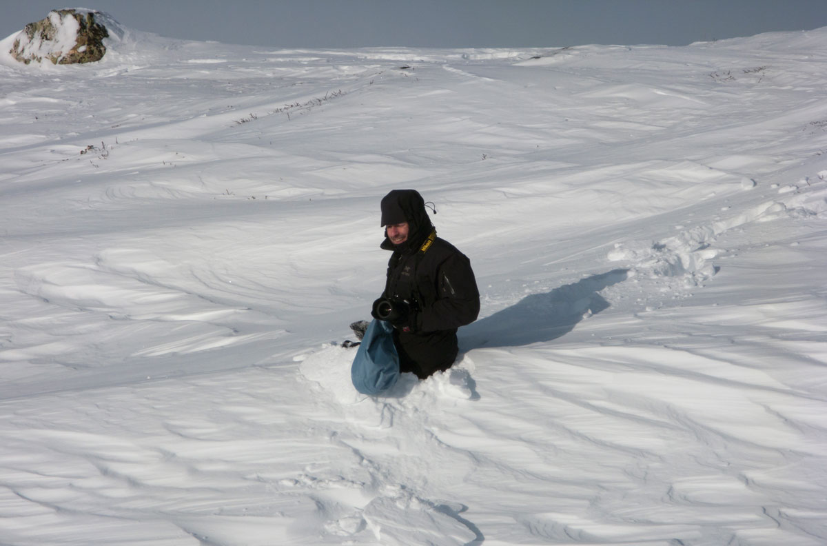 Tom im Tiefschnee